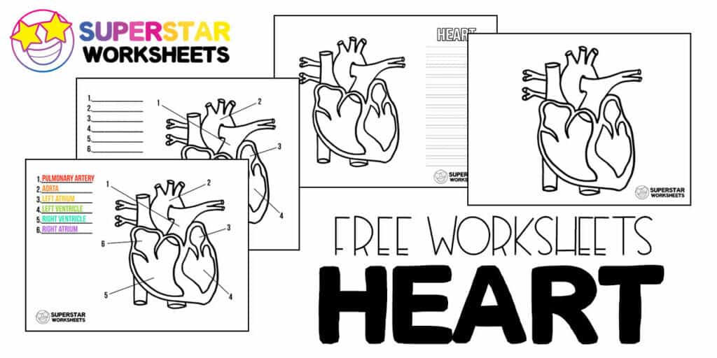 heart worksheets superstar worksheets