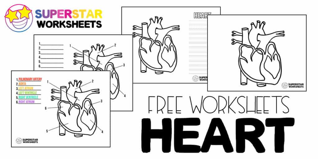 science worksheets superstar worksheets