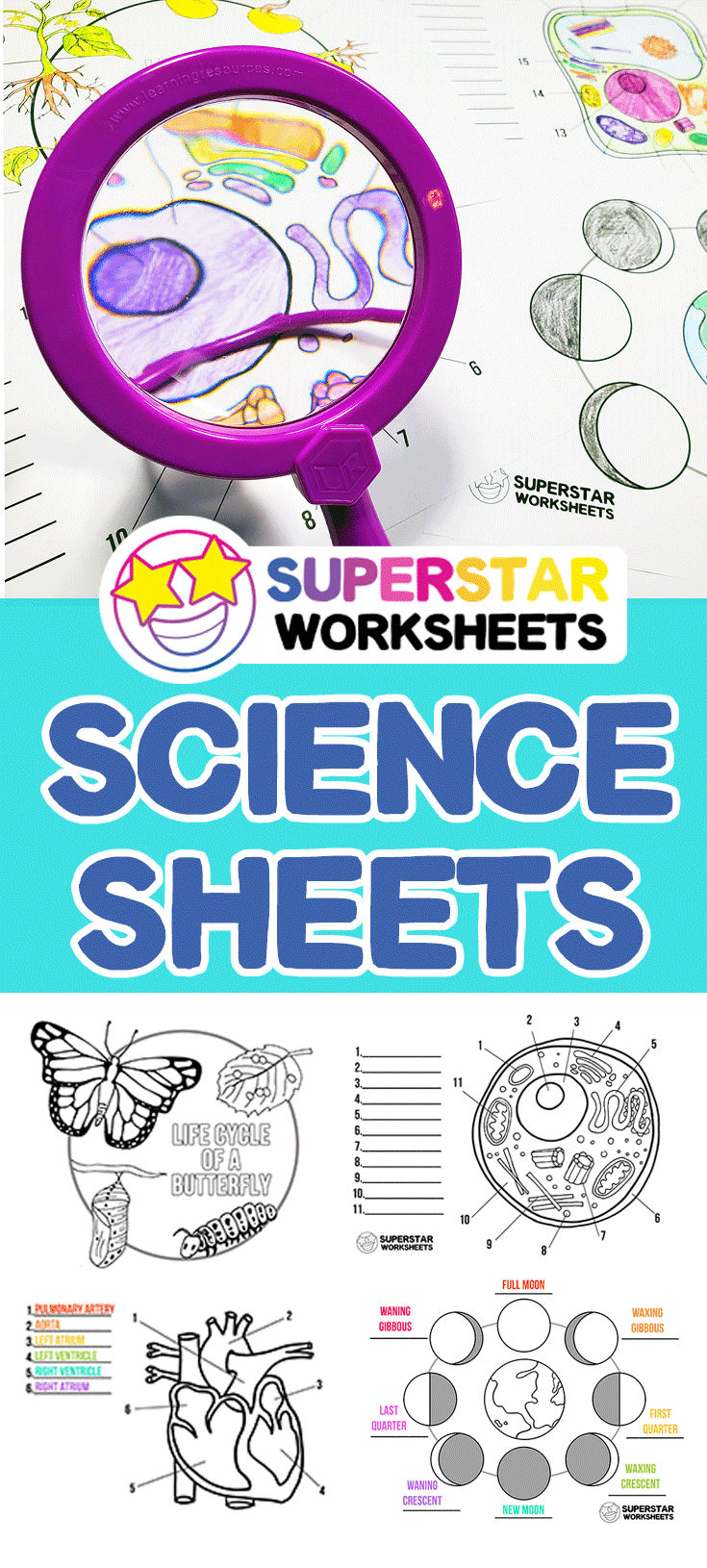 science-worksheets-superstar-worksheets