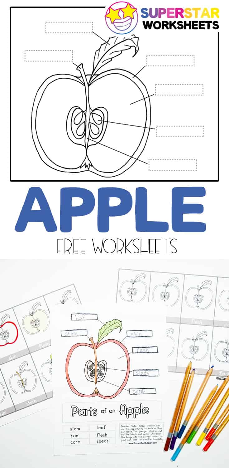 Apple Worksheets - Superstar Worksheets