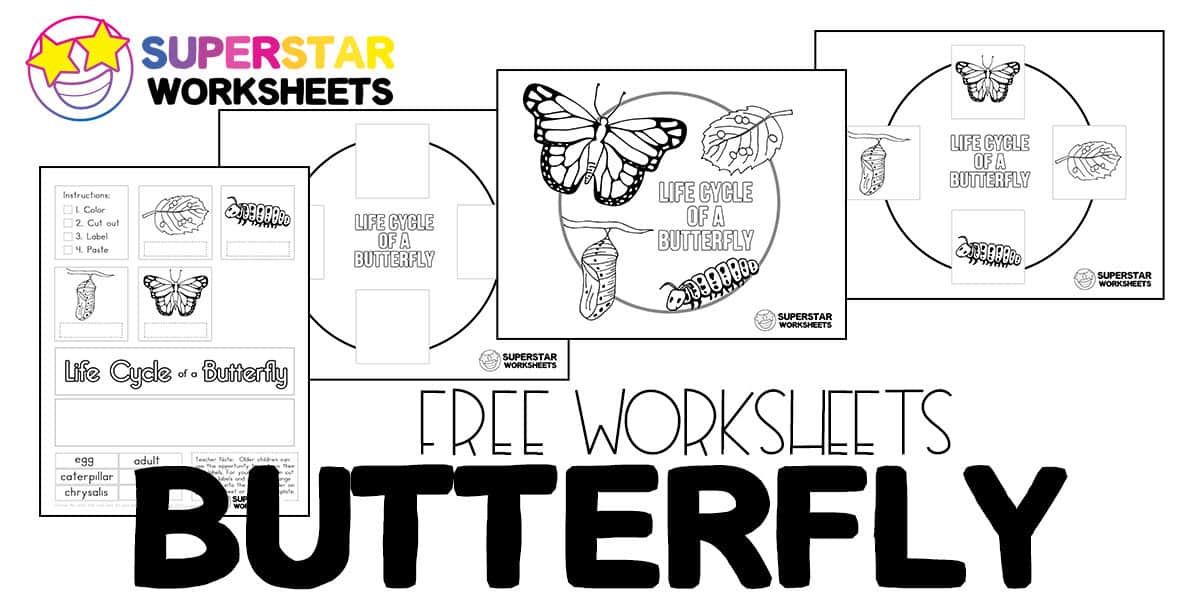 butterfly worksheets  superstar worksheets