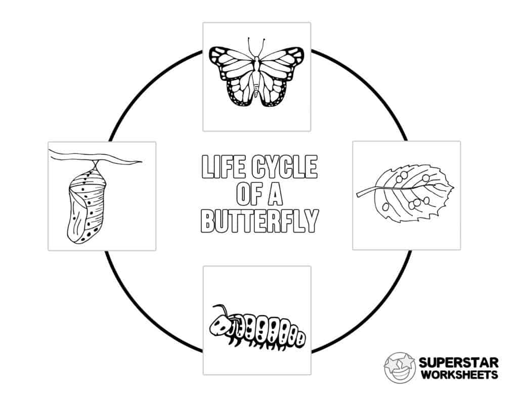 Butterfly Worksheets - Superstar Worksheets With Regard To Butterfly Life Cycle Worksheet