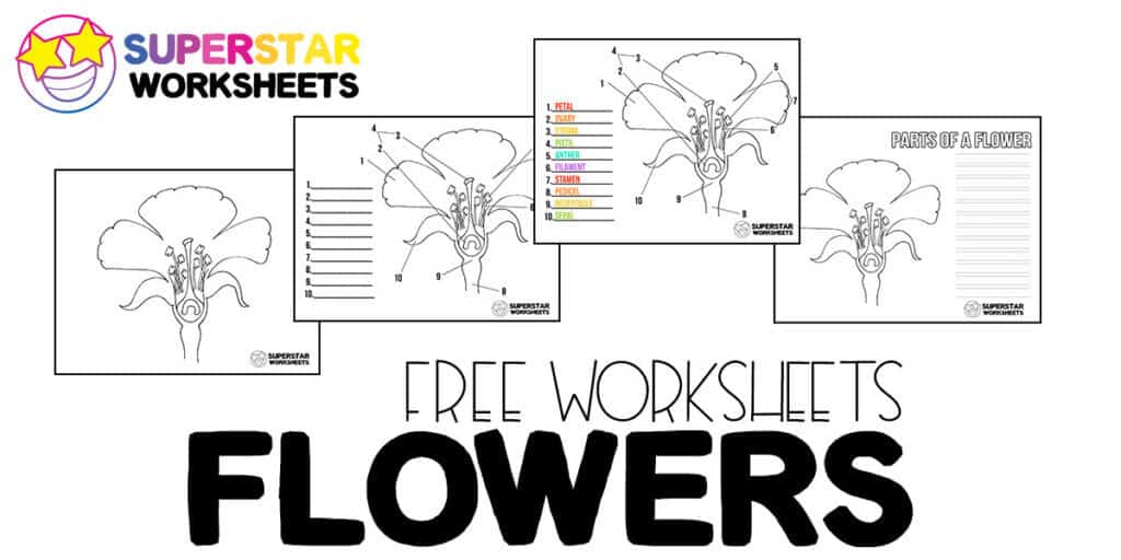 Parts Of A Flower Blank Sheet Home Alqu