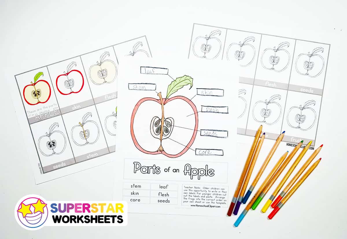 creative writing apple fruit