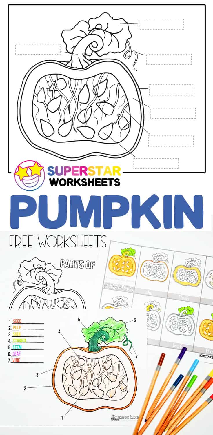 Pumpkin Worksheet Superstar Worksheets