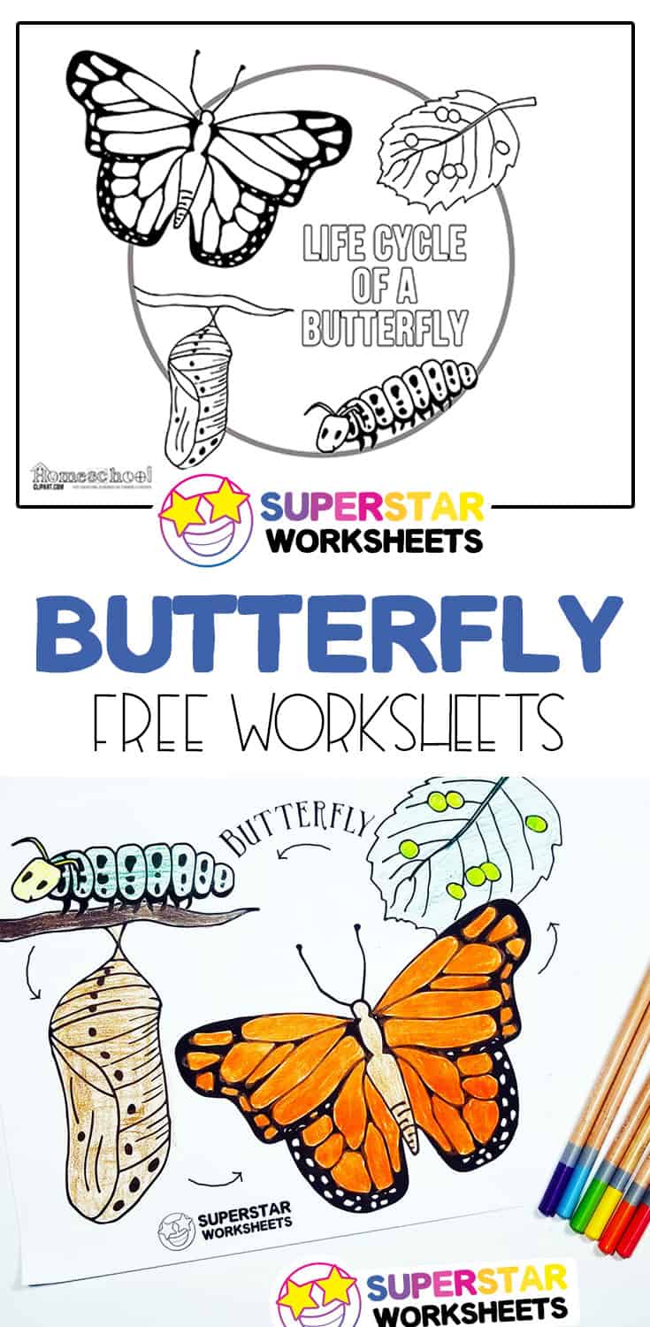 butterfly-worksheets-superstar-worksheets