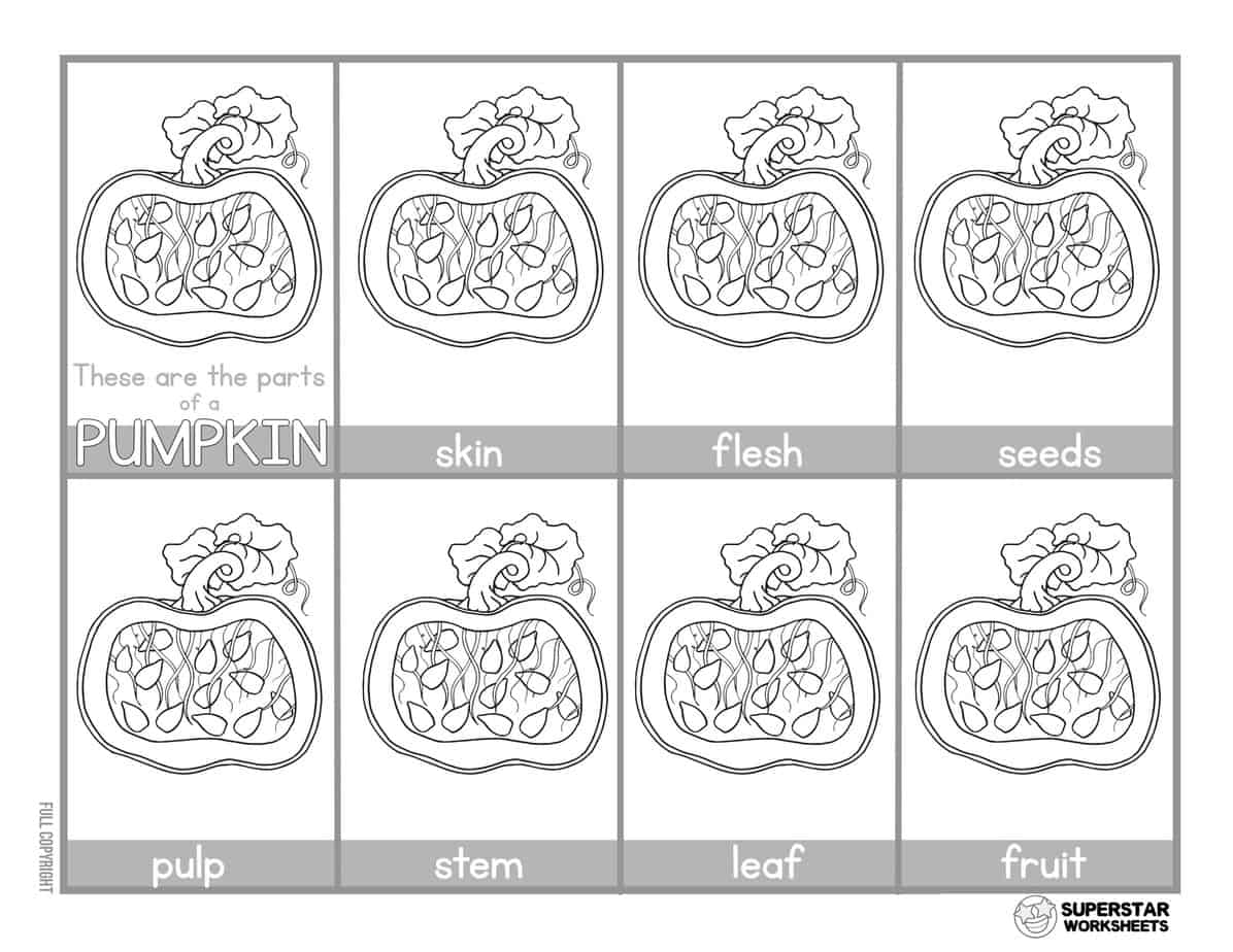 Pumpkin Worksheet - Superstar Worksheets