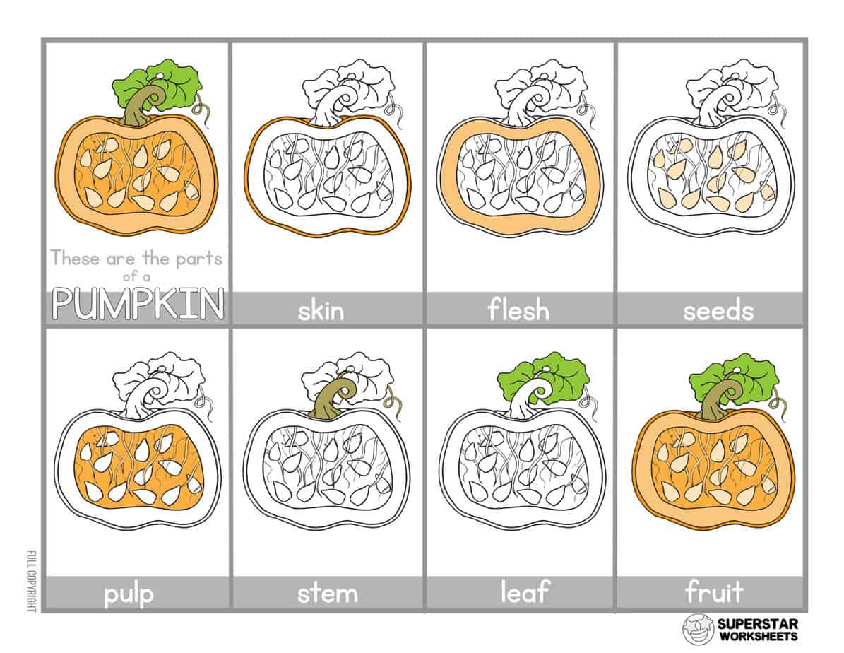 Pumpkin Worksheet - Superstar Worksheets