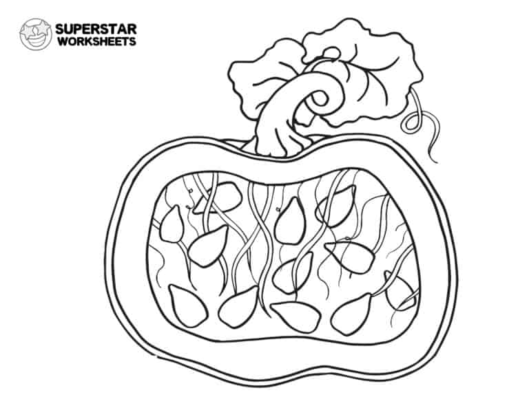 Pumpkin Worksheet Superstar Worksheets