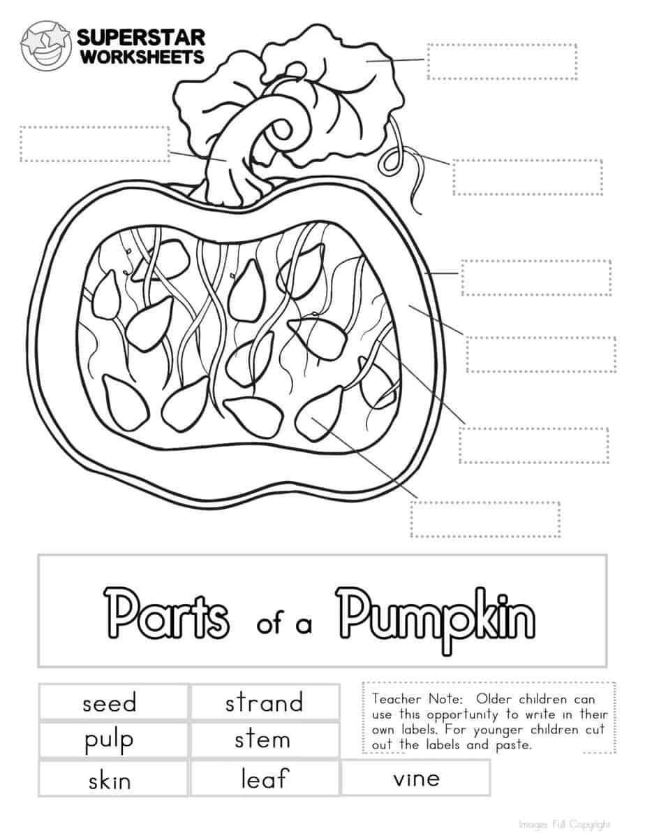 Pumpkin Worksheet - Superstar Worksheets