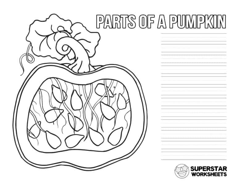 Pumpkin Worksheet Superstar Worksheets