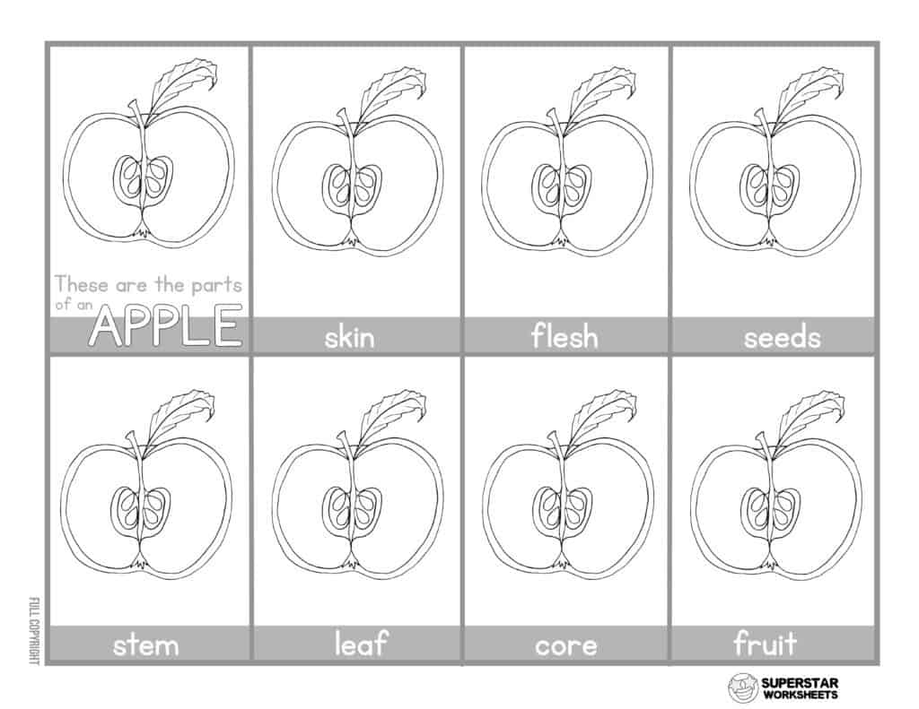 Apple Worksheets - Superstar Worksheets Within Parts Of An Apple Worksheet