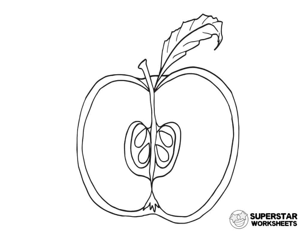 teacher apple coloring page