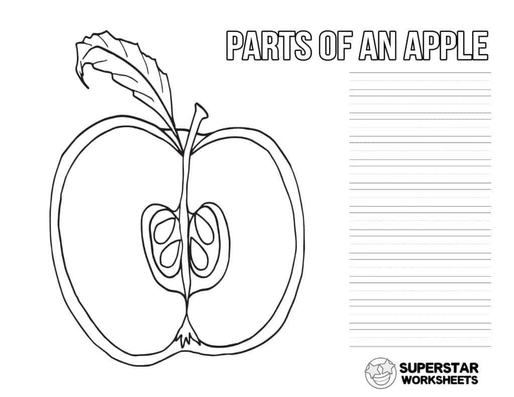 Apple Worksheets - Superstar Worksheets Inside Parts Of  An Apple Worksheet