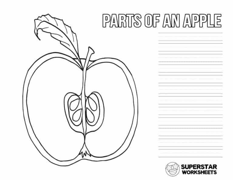 Apple Worksheets Superstar Worksheets