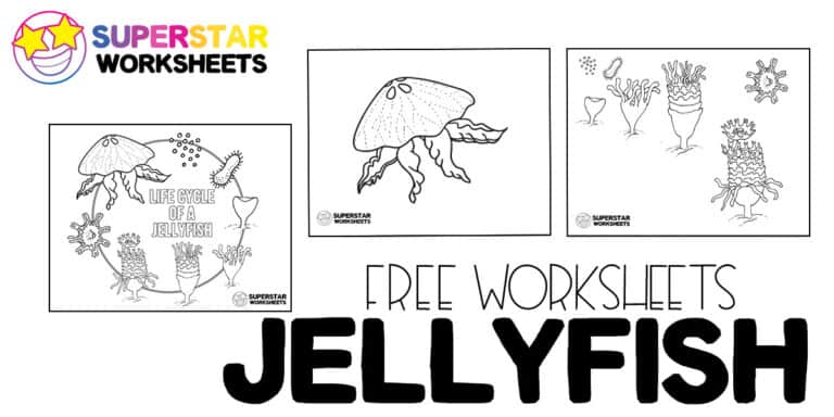 Jellyfish Worksheets - Superstar Worksheets