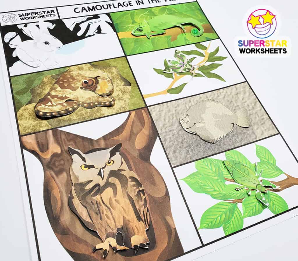 Animal Camouflage Worksheets - Superstar Worksheets