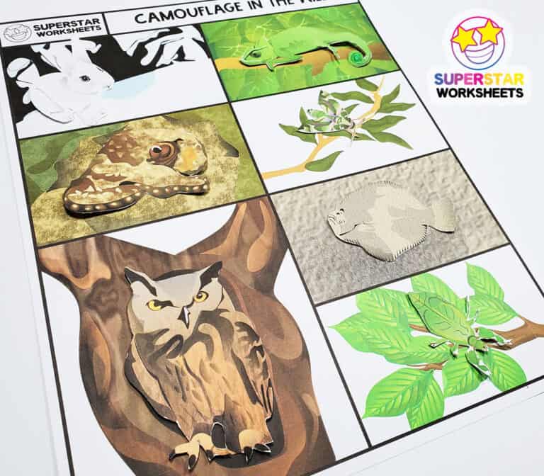 animal-camouflage-worksheets-superstar-worksheets