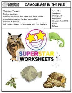 Animal Camouflage Worksheets - Superstar Worksheets