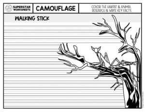 Animal Camouflage Worksheets - Superstar Worksheets