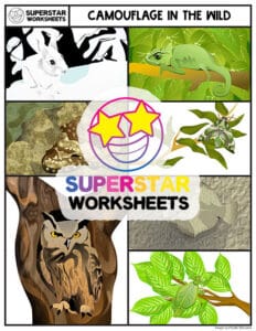 Animal Camouflage Worksheets - Superstar Worksheets