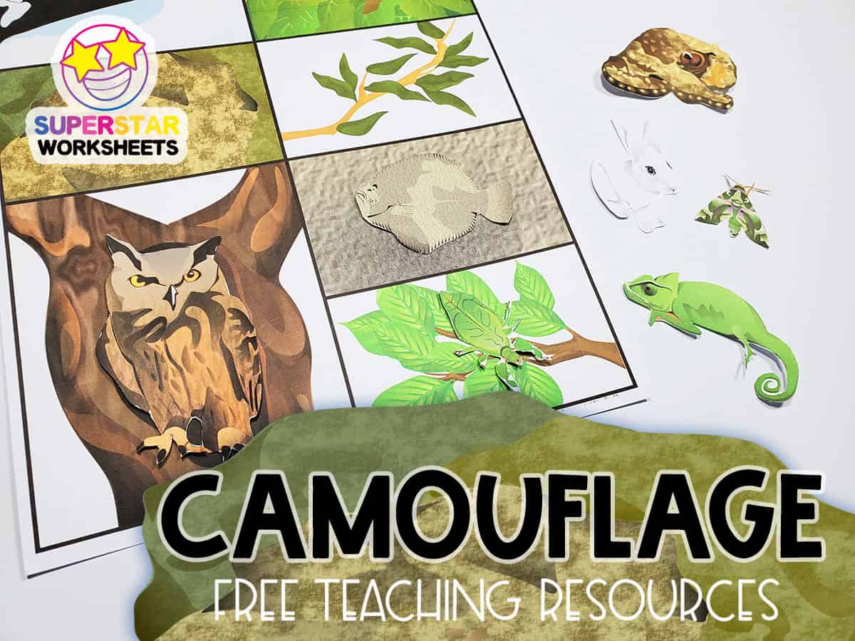 animal-camouflage-worksheets-superstar-worksheets