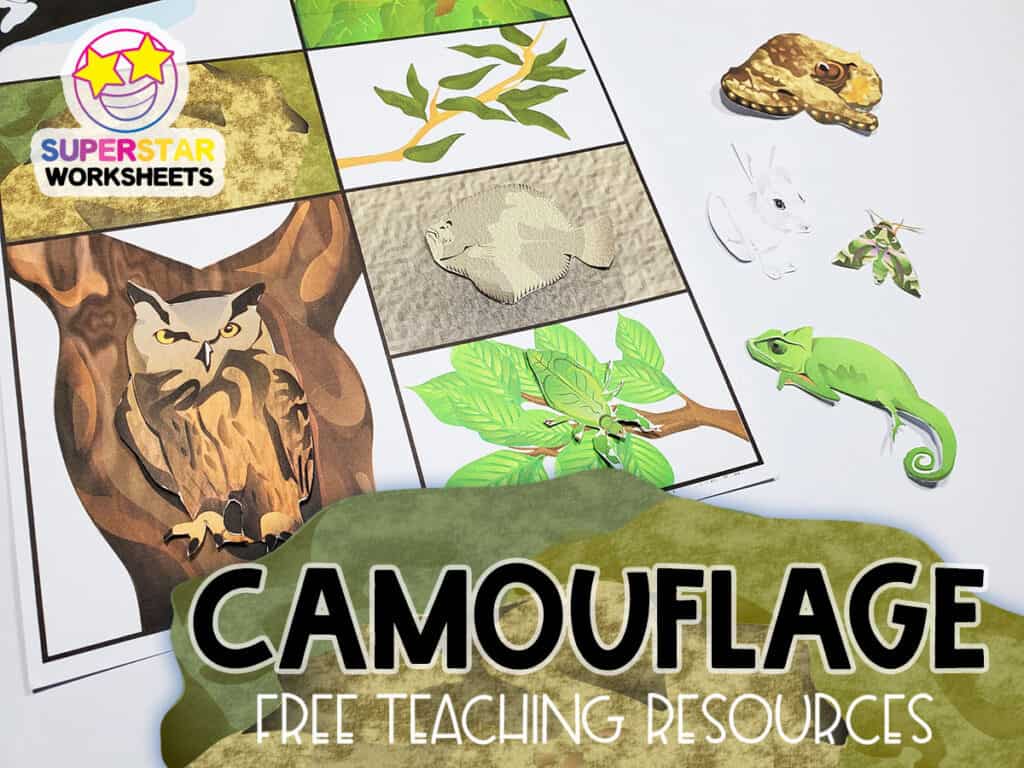 Animal Camouflage Worksheets Superstar Worksheets