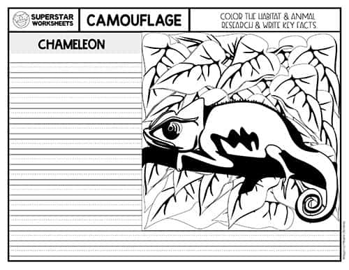 Animal Camouflage Worksheets Superstar Worksheets