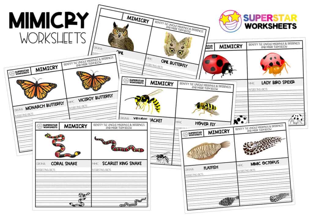 Mimicry Worksheets - Superstar Worksheets