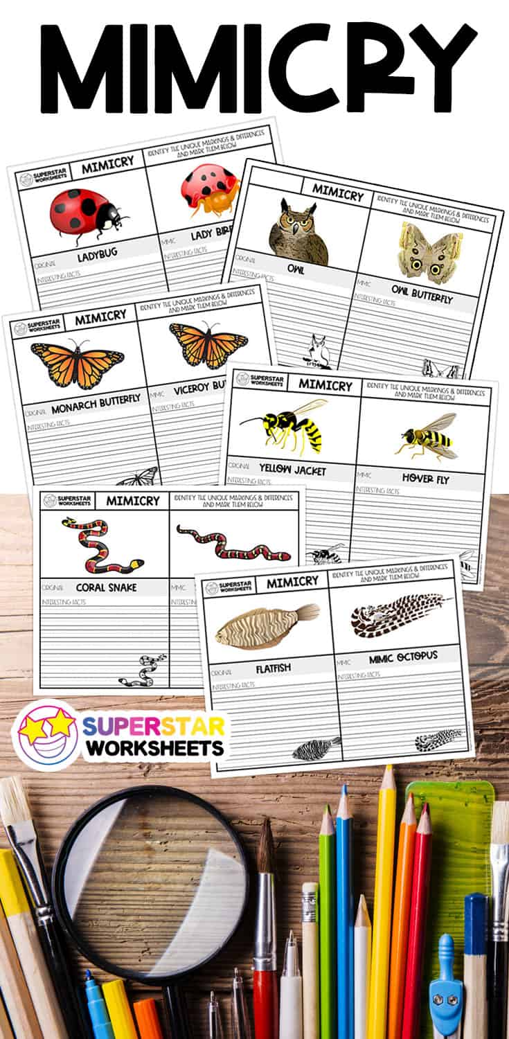 Mimicry Worksheets Superstar Worksheets