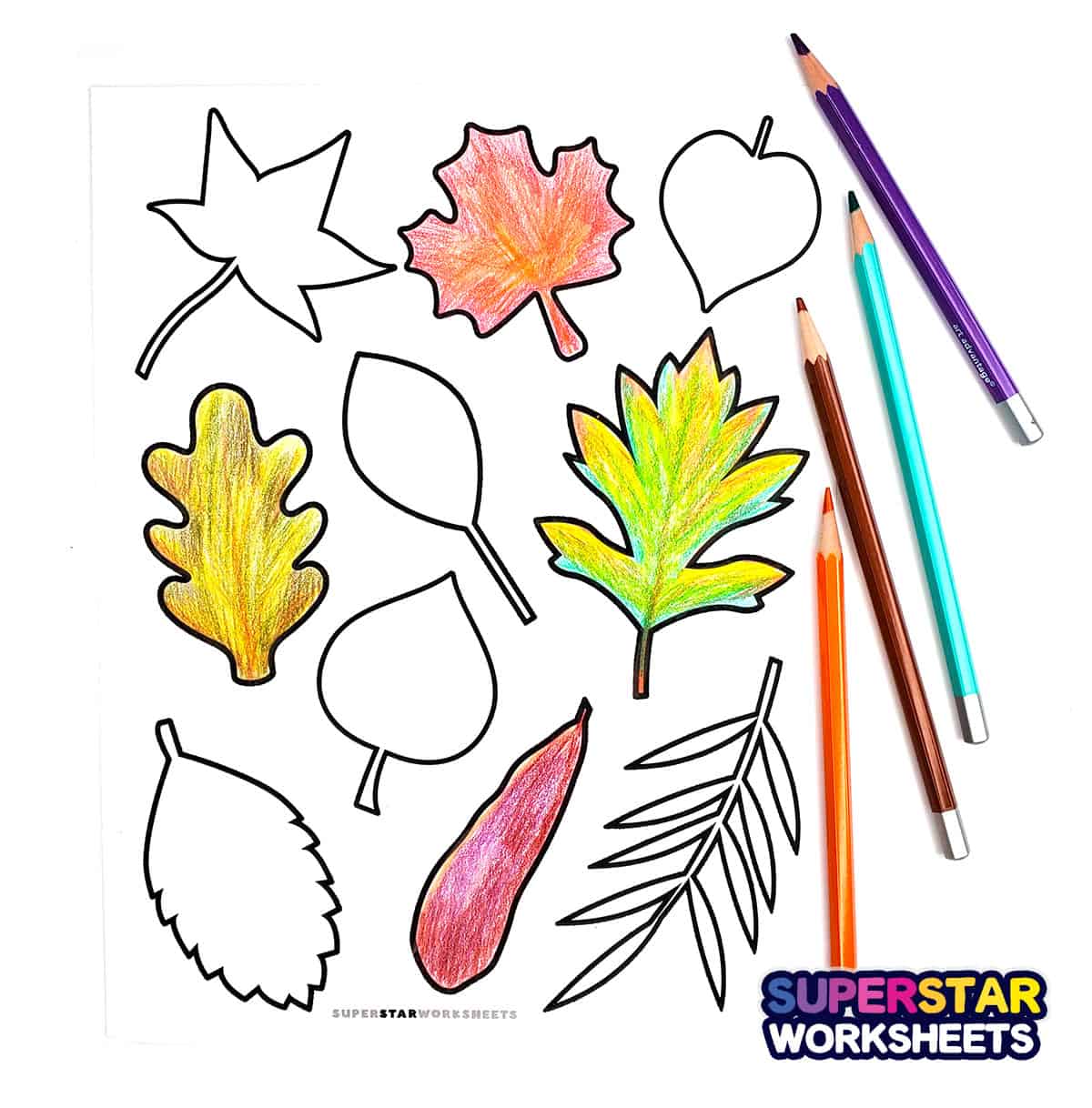 fall leaves coloring pages for preschoolers