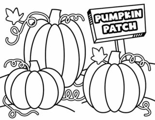 Pumpkin Coloring Pages (Free Printables) - Superstar Worksheets