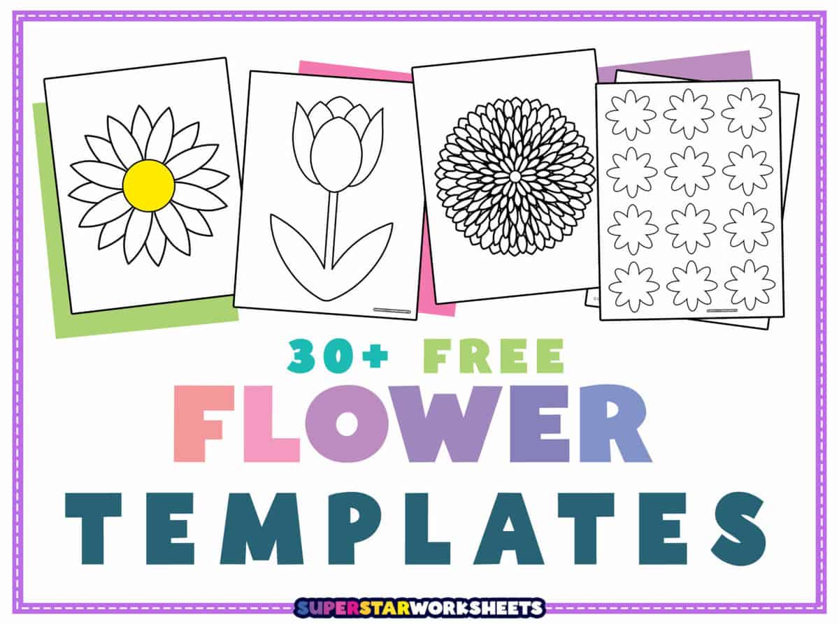 Types of Flowers 3 Part Cards Coloring Pages