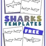 Shark template graphic featuring 4 templates.