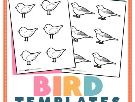 Graphic showing two bird templates.