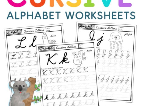 Cursive alphabet worksheet graphic with a cute koala bear.