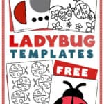 Graphic showing a variety of ladybug templates.