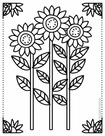 Sunflower Coloring Pages - Superstar Worksheets