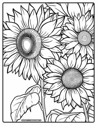 Sunflower Coloring Pages - Superstar Worksheets