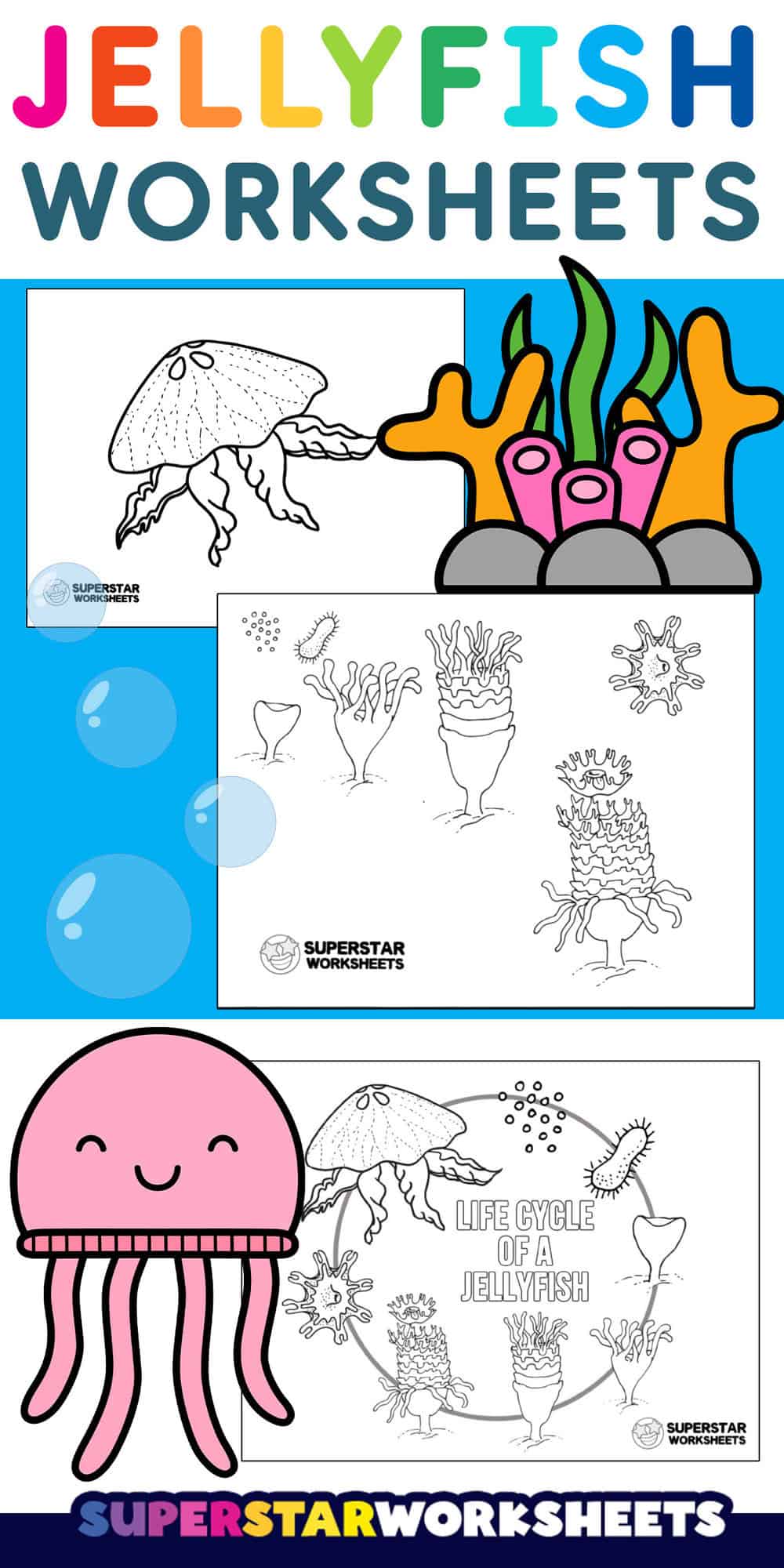 Jellyfish Worksheets - Superstar Worksheets