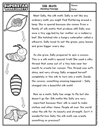 Second Grade Reading Comprehension Superstar Worksheets