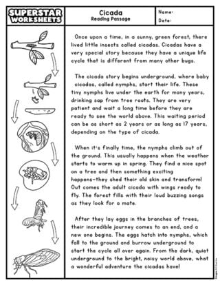 Second Grade Reading Comprehension Superstar Worksheets