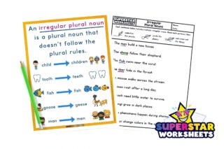 Irregular Plural Noun Worksheets - Superstar Worksheets