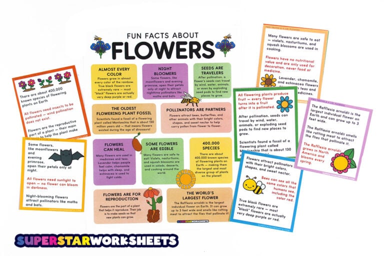 Flower Observation Worksheets.pdf Flower Worksheets (Free Printables) - Superstar Worksheets