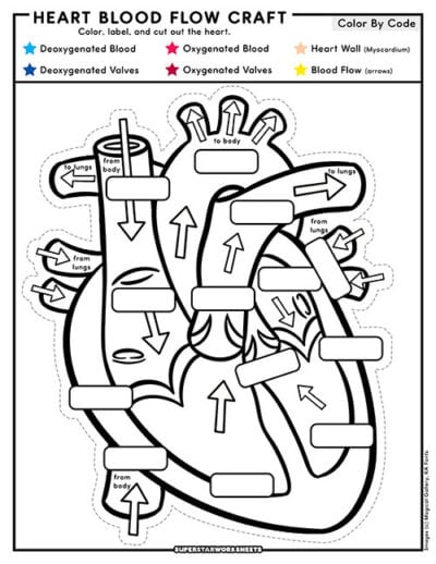 Heart Worksheets (Free Printables) - Superstar Worksheets