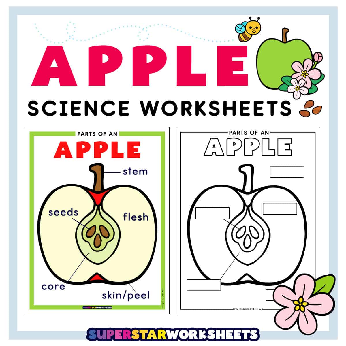 Counters Math Printable Worksheet Apple Worksheets (Free Printables) - Superstar Worksheets
