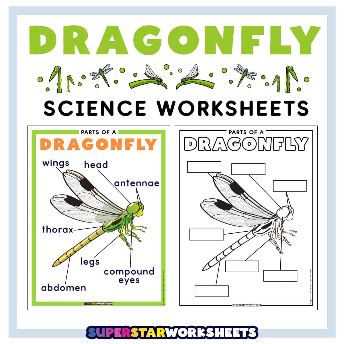 Counters Math Printable Worksheet Dragonfly Worksheets (Free Printables) - Superstar Worksheets