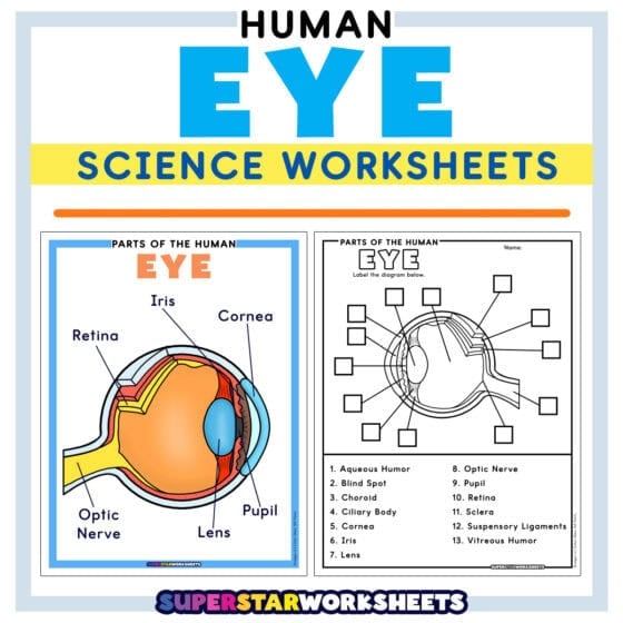 Cursive Pathway Eye Worksheets - Superstar Worksheets